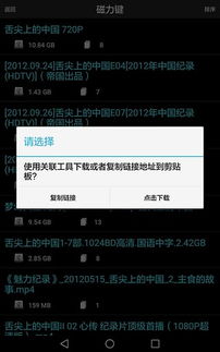 系统工具软件影视大全免费版本下载,理论解答解释定义_D版_v7.976,全面解析