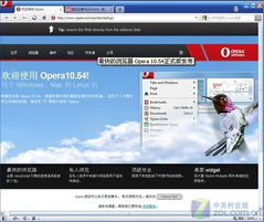 opera浏览器中文版官方下载,灵活实施计划 PT_v4.575