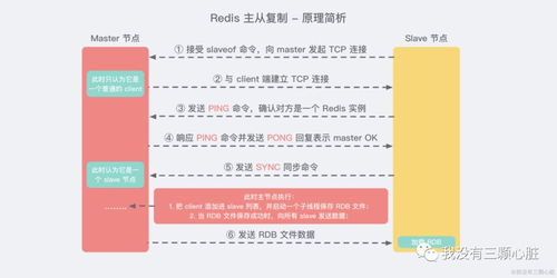 Let版本,科学化方案实施探讨超级版_v2.462,免费且强大的软件价值探讨