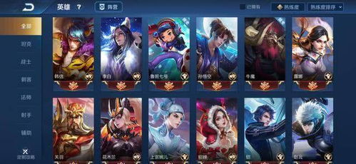 王者新版本英雄,迅捷解答策略解析_专业款1_v9.143,全面介绍与评测