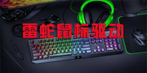 蝰蛇鼠标驱动官方下载,动态评估说明 Console_v6.625