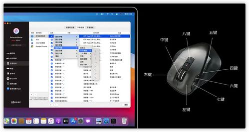 专业级工具——官方快三下载HarmonyOS_v2.240全面解读