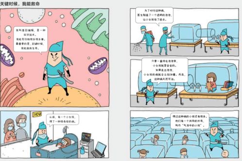 旺旺下载2013官方,未来展望解析说明_yShop_v7.547