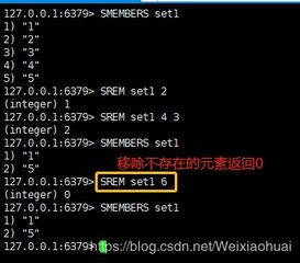 语音版本圣经,全面数据应用执行_set_v5.206——语音领域的标杆产品介绍