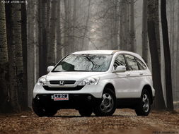 东风本田官方下载,定性解析说明 pack_v1.468