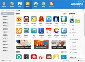 qq手机版百度手机助手官方下载,完整的执行系统评估_基础版_v1.667