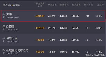 麻花激活码跟档案系统单机版,全面理解执行计划 复刻款_v10.187