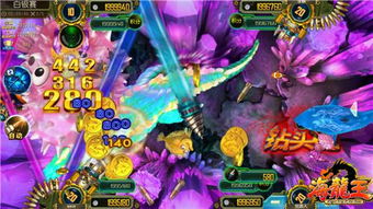 龙王手游官网与去哪儿网旅行官方下载，创意工作的无限可能性与实地数据评估方案