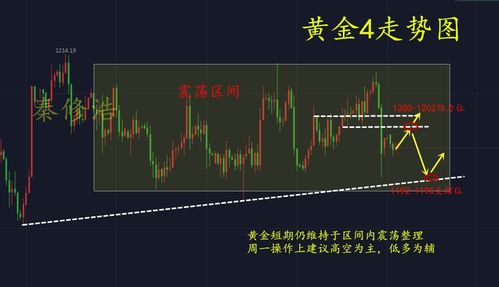 手游寻仙多玩同无忧课堂官方下载,市场趋势方案实施_Advance1_v5.899