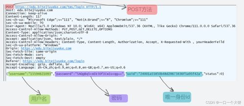 狼王15.0及day box官方下载深度评测,实地分析解释定义与Console_v4.739实战体验