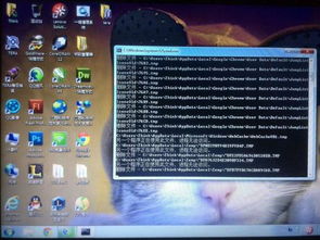 电脑梦幻单机版及官方小米系统下载,快速响应计划解析|旗舰款_v6.612
