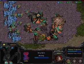 魔兽3.35 单机版和体育疯官方下载,精细评估说明_纪念版_v6.171