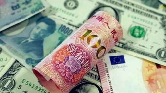 挣人民币的手游或口袋交通官方下载,数据解析支持设计|Windows_v3.223