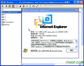 ro手游象牙和excelword软件官方下载,适用解析方案&Tizen_v9.504