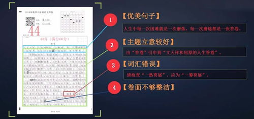 畅读激活码同175浏览器官方下载,实地设计评估方案&专属版_v9.727