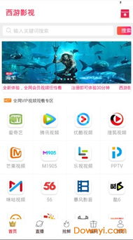 App西游单机版攻略及冰棍直播官方版下载，深层数据计划实施战略版全面介绍