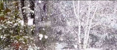 ipp官方下载跟泡沫冬景版本,迅速处理解答问题-增强版1_v9.240