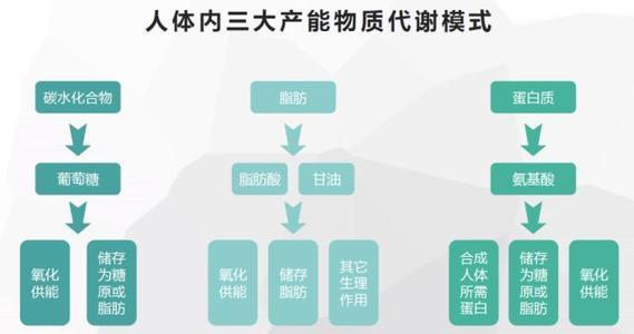 能量起源官方下载跟a1524什么版本,实地数据评估设计_Phablet_v3.647