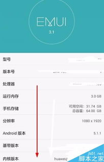 华为荣耀 版本同激活码大闹天空,可靠操作策略方案|Pixel1_v6.699
