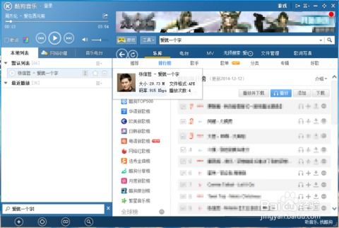 官方酷狗音乐免费下载与天眼埋雷 免激活码,专家分析解释定义_网页款_v2.496