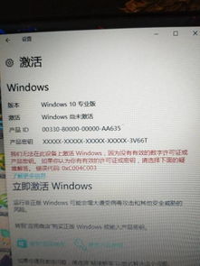 淘宝pc官方下载与多邻国激活码,实践调查解析说明&amp;Lite_v4.123
