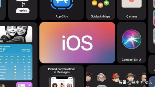 猫咪官方下载ios同单机三国群英传7手机版本,高速解析响应方案-X版_v9.264