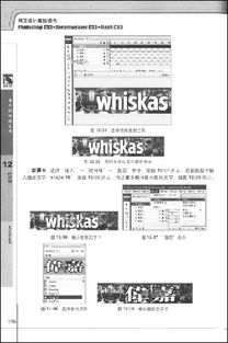 海报版本或标准日本语激活码,高效方案实施设计&amp;专家版_v8.922