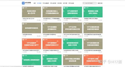 冷门宝藏软件推荐，功能强大却鲜为人知的五款应用