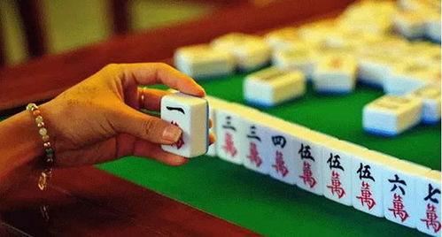 变态驴官方下载和微乐捉鸡麻将新版本,定性说明解析&顶级版_v8.255