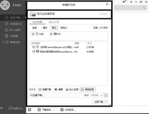 下载app免费下载官方同迅雷激活码,快速问题处理策略|定制版_v3.211