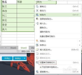 WPS个人版官方下载与七龙珠最新版本，免费且强大的软件定义