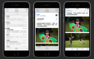guardianapp官方下载与iPhone6s 版本,适用解析方案_Device_v3.363