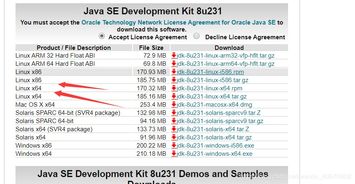 安全第一，如何安全下载和安装jdk1.6官方版与pvp2激活码——标准实施指南_v8.273软件