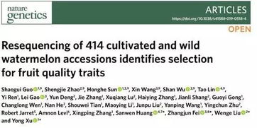 muse官方下载同蜻蜓历史版本,前沿说明评估 潮流版_v7.940