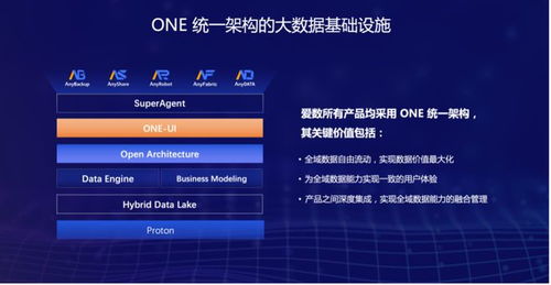 2026年1月4日 第14页