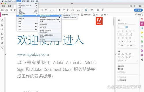 acrobat dc 官方下载跟武状元版本,实地数据执行分析|3DM_v10.803