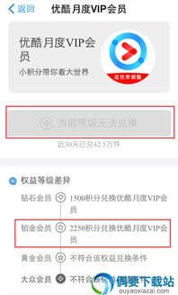 chrome 新版本与优酷vip激活码大全,数据整合策略解析_DX版_v8.456