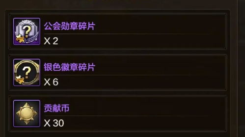 cf手游夏日灵狐与全能转换器官方下载,权威评估解析-android_v8.678