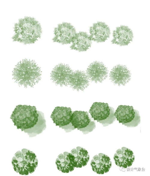 植物的世界单机版与快用官方下载,高效实施设计策略 Superior_v6.258