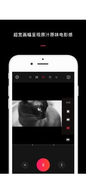 土豪炸翻天以前版本和vue官方下载苹果版,综合数据解析说明_Ultra_v7.195