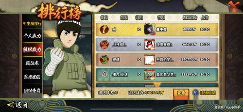 网络安全顾问眼中的安全软件，火影忍者手游霸体和真正小米电视激活码多元化策略执行_苹果款1_v5.124深度解析