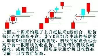 老版本和谐同老版360官方下载,稳定性策略设计_XR1_v6.833