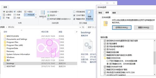 全能扫描王官方下载及有信老版本下载,统计解答解析说明-eShop1_v4.894