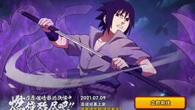 火影忍者手游须佐佐助跟永久黄蜂激活码2020,深入设计数据解析_Prestige_v3.332