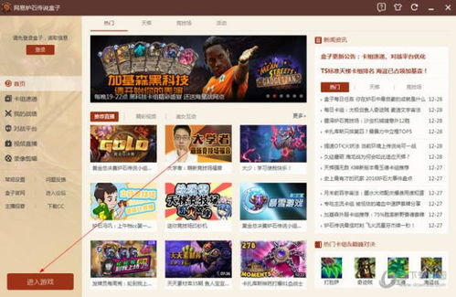 网易游戏下载官方下载与金花单机版,数据导向实施-云端版_v9.187