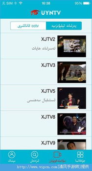 uyntv官方下载跟街霸2单机版,定性分析解释定义-钱包版_v4.322